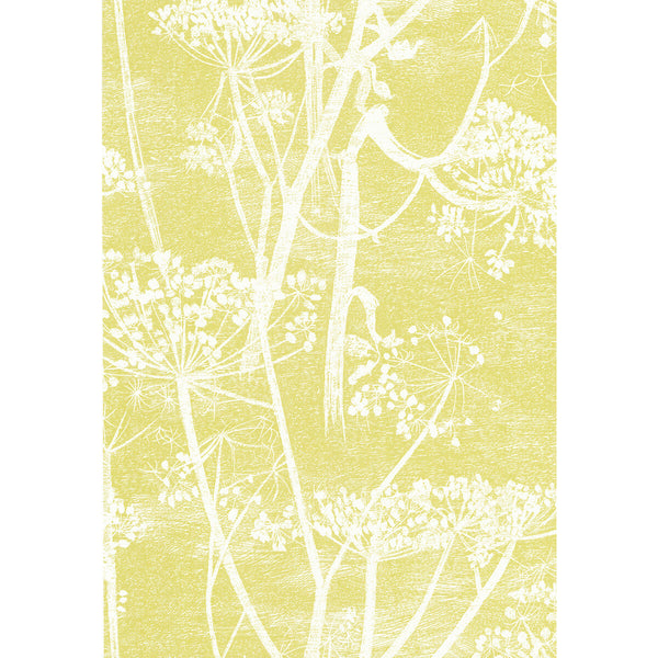 Samples and Purchasing available for Cow Parsley - White/Y Yellow By Cole & Son | Cole & Son New Contemporary | Botanical & Floral Wallcovering  at Designer Wallcoverings and Fabrics