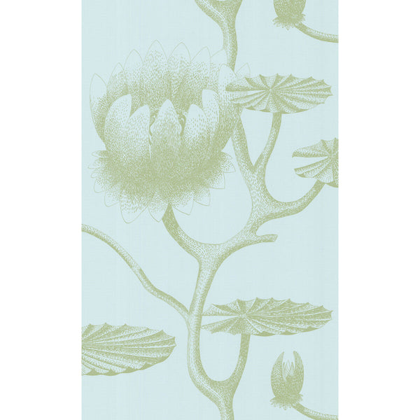 Samples and Purchasing available for Lily - Sage/Pale Blue Green By Cole & Son | Cole & Son New Contemporary Ii |Botanical & Floral  Wallcovering Print at Designer Wallcoverings and Fabrics