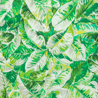 Samples and Purchasing available for Diani Print - Leaf Chartreuse By Brunschwig & Fils | Majorelle |Botanical & Floral Tropical Multipurpose Print at Designer Wallcoverings and Fabrics