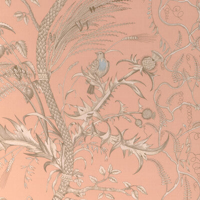 Samples and Purchasing available for Bird And Thistle Ii - Peach Orange By Brunschwig & Fils | La Menagerie |Botanical & Floral Tropical Drapery Print at Designer Wallcoverings and Fabrics