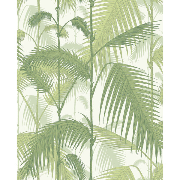 Samples and Purchasing available for Palm Jungle - Olive Gre/White Green By Cole & Son | Cole & Son Contemporary Restyled |Botanical & Floral  Wallcovering  at Designer Wallcoverings and Fabrics