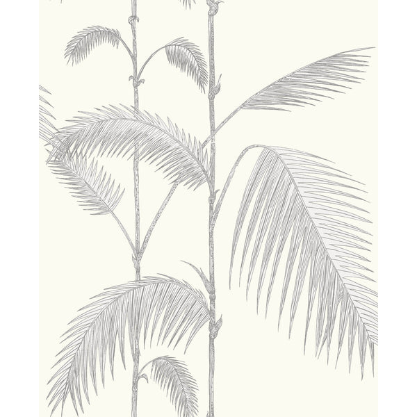 Samples and Purchasing available for Palm Leaves - Grey/White Grey By Cole & Son | Cole & Son Contemporary Restyled |Botanical & Floral  Wallcovering  at Designer Wallcoverings and Fabrics