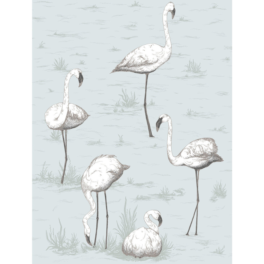 Samples and Purchasing available for Flamingos - Charcoal/Aqua Green By Cole & Son | Cole & Son Contemporary Restyled | Novelty Wallcovering Print at Designer Wallcoverings and Fabrics