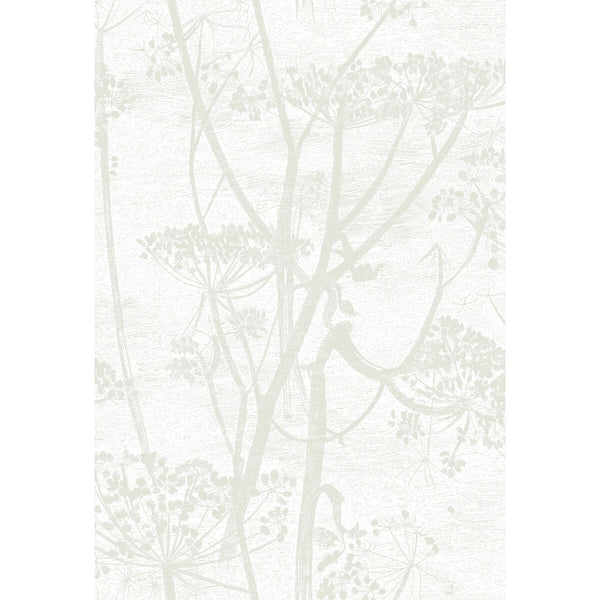 Samples and Purchasing available for Cow Parsley - White White By Cole & Son | Cole & Son Contemporary Restyled |Botanical & Floral  Wallcovering  at Designer Wallcoverings and Fabrics