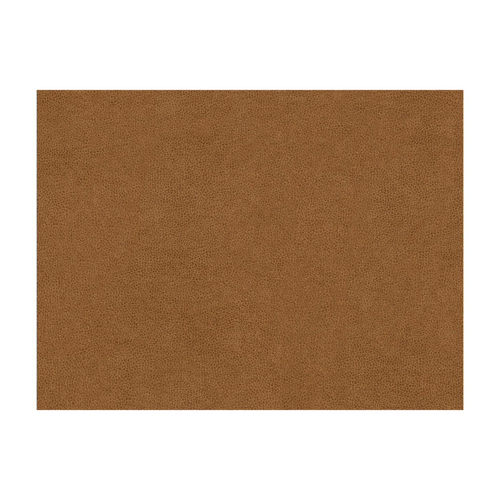 Samples and Purchasing available for Abilene - Biscuit Brown By Kravet Contract |  | Animal Skins Upholstery Vinyl/Faux Leather at Designer Wallcoverings and Fabrics