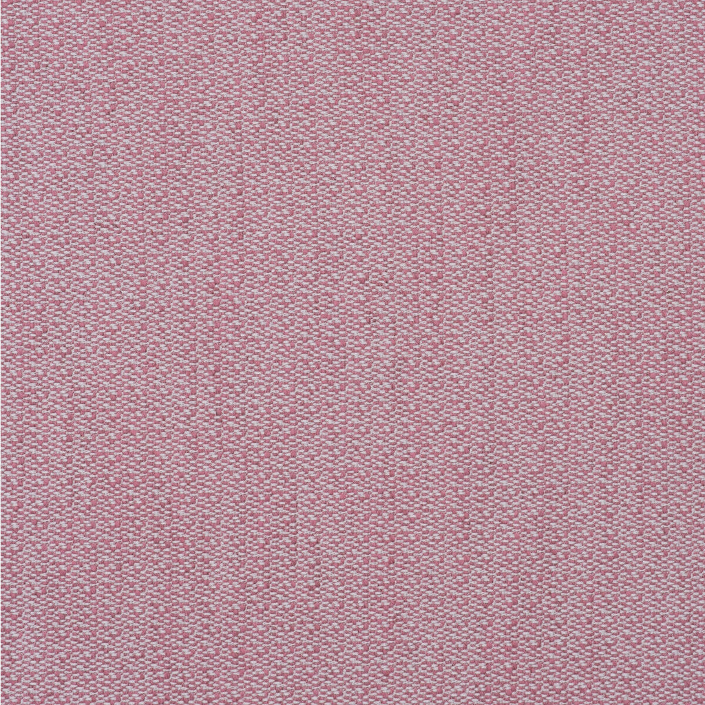 Samples and Purchasing available for Ravello - Pink Pink By Kravet Couture | Andrew Martin Amalfi |Solid Texture Upholstery  at Designer Wallcoverings and Fabrics