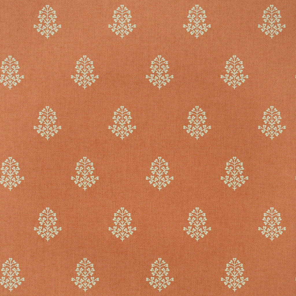 Samples and Purchasing available for Cow Parsley - Clementine Orange By Kravet Couture | Andrew Martin Arboretum | Botanical & Floral Wallcovering Print at Designer Wallcoverings and Fabrics