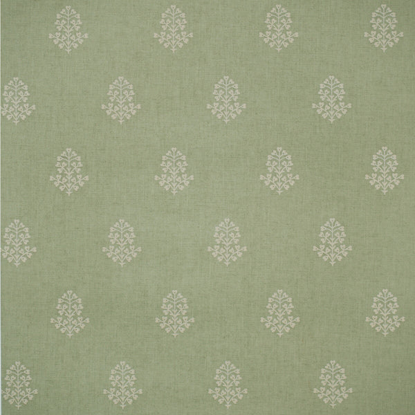 Samples and Purchasing available for Cow Parsley - Leaf Green By Kravet Couture | Andrew Martin Arboretum | Botanical & Floral Wallcovering Print at Designer Wallcoverings and Fabrics