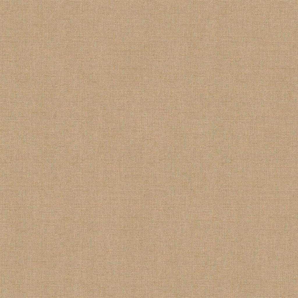 Samples and Purchasing available for Gravel Path - Flax Beige By Kravet Design | Performance Trim Indoor/Outdoor |  Trim Indoor / Outdoor at Designer Wallcoverings and Fabrics