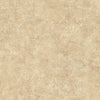 Samples and Purchasing available for Gravel Path - Flax Beige By Kravet Design | Performance Trim Indoor/Outdoor |  Trim Indoor / Outdoor at Designer Wallcoverings and Fabrics