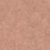 Samples and Purchasing available for Gravel Path - Flax Beige By Kravet Design | Performance Trim Indoor/Outdoor |  Trim Indoor / Outdoor at Designer Wallcoverings and Fabrics