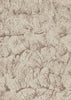 Samples and Purchasing available for Gravel Path - Flax Beige By Kravet Design | Performance Trim Indoor/Outdoor |  Trim Indoor / Outdoor at Designer Wallcoverings and Fabrics