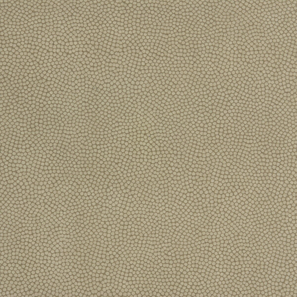 Samples and Purchasing available for Beautymark - Greystone Beige By Kravet Couture |  |Animal Skins Texture Upholstery Vinyl/Faux Leather at Designer Wallcoverings and Fabrics