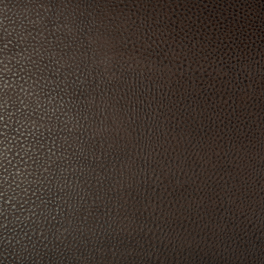 Samples and Purchasing available for Kravet Design - Beholder-6 Brown By Kravet Design |  |Animal Skins Solid Upholstery Vinyl/Faux Leather at Designer Wallcoverings and Fabrics