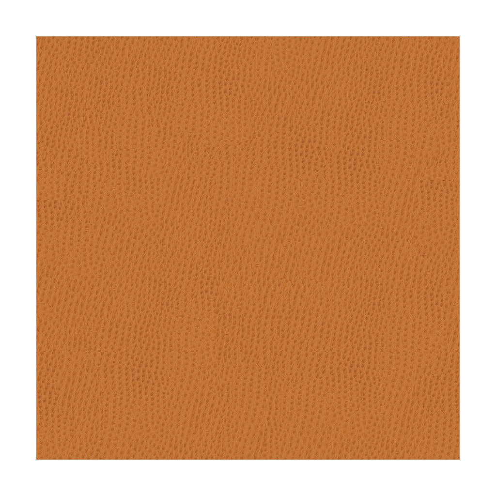 Samples and Purchasing available for Kravet Contract - Belus-212 Rust By Kravet Contract |  | Animal Skins Upholstery Vinyl/Faux Leather at Designer Wallcoverings and Fabrics