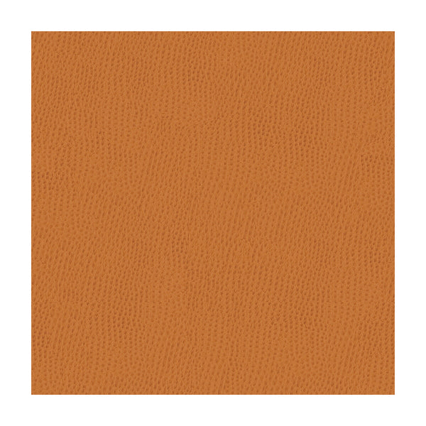 Samples and Purchasing available for Kravet Contract - Belus-212 Rust By Kravet Contract |  | Animal Skins Upholstery Vinyl/Faux Leather at Designer Wallcoverings and Fabrics