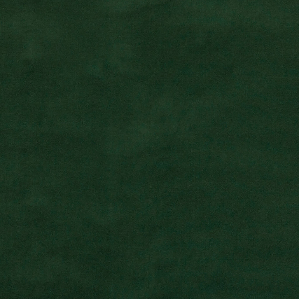 Samples and Purchasing available for Baker House Velvet - Forest Green By G P & J Baker | Baker House Velvet |  Multipurpose Velvet at Designer Wallcoverings and Fabrics