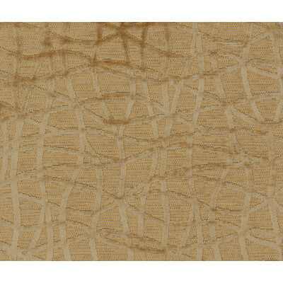 Samples and Purchasing available for Ashanti Woven - Raffia Brown By Brunschwig & Fils |  |Modern  Upholstery Velvet at Designer Wallcoverings and Fabrics