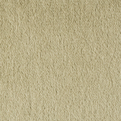 Samples and Purchasing available for Autun Mohair Velvet - Eucalyptus Taupe By Brunschwig & Fils |  |Solid Texture Upholstery Mohair at Designer Wallcoverings and Fabrics