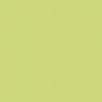 Samples and Purchasing available for Autun Mohair Velvet - Celery Light Green By Brunschwig & Fils |  |Solid Texture Upholstery Mohair at Designer Wallcoverings and Fabrics