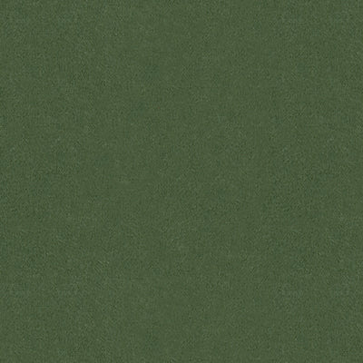 Samples and Purchasing available for Autun Mohair Velvet - Bayleaf Green By Brunschwig & Fils |  |Solid Texture Upholstery Mohair at Designer Wallcoverings and Fabrics