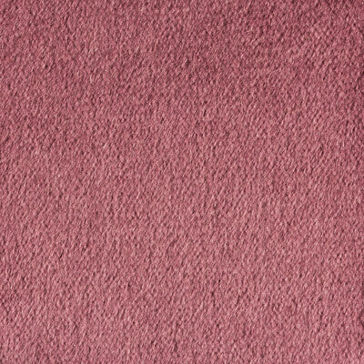 Samples and Purchasing available for Autun Mohair Velvet - Mauve Purple By Brunschwig & Fils |  |Solid Texture Upholstery Mohair at Designer Wallcoverings and Fabrics