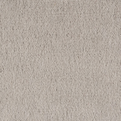 Samples and Purchasing available for Autun Mohair Velvet - Greige Grey By Brunschwig & Fils |  |Solid Texture Upholstery Mohair at Designer Wallcoverings and Fabrics