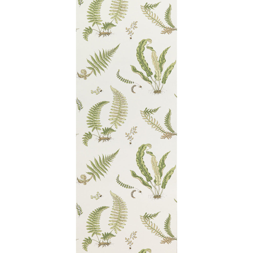 Samples and Purchasing available for Ferns - Leaf  By G P & J Baker | Signature Ii Wallpapers |Botanical & Floral  Wallcovering Print at Designer Wallcoverings and Fabrics