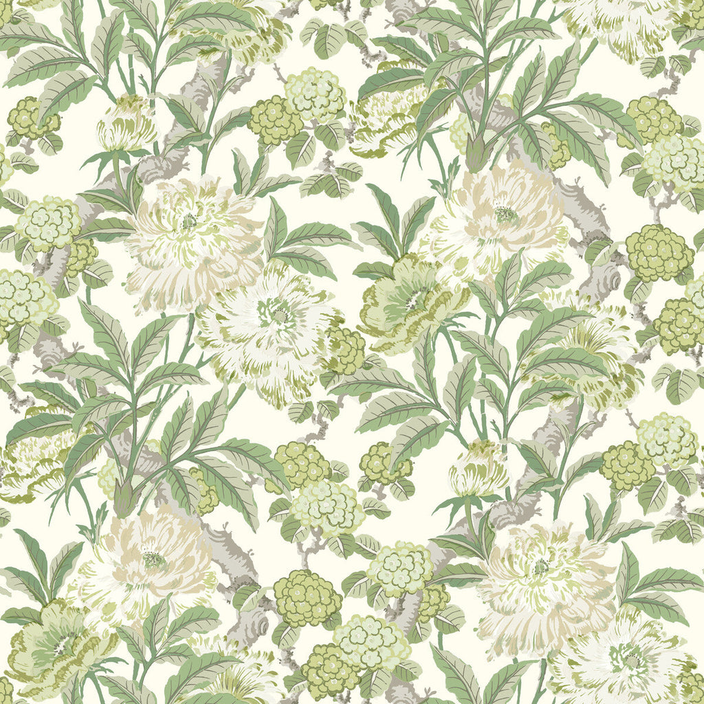 Samples and Purchasing available for Summer Peony - Green Green By G P & J Baker | Ashmore Wallpaper |Botanical & Floral  Wallcovering  at Designer Wallcoverings and Fabrics