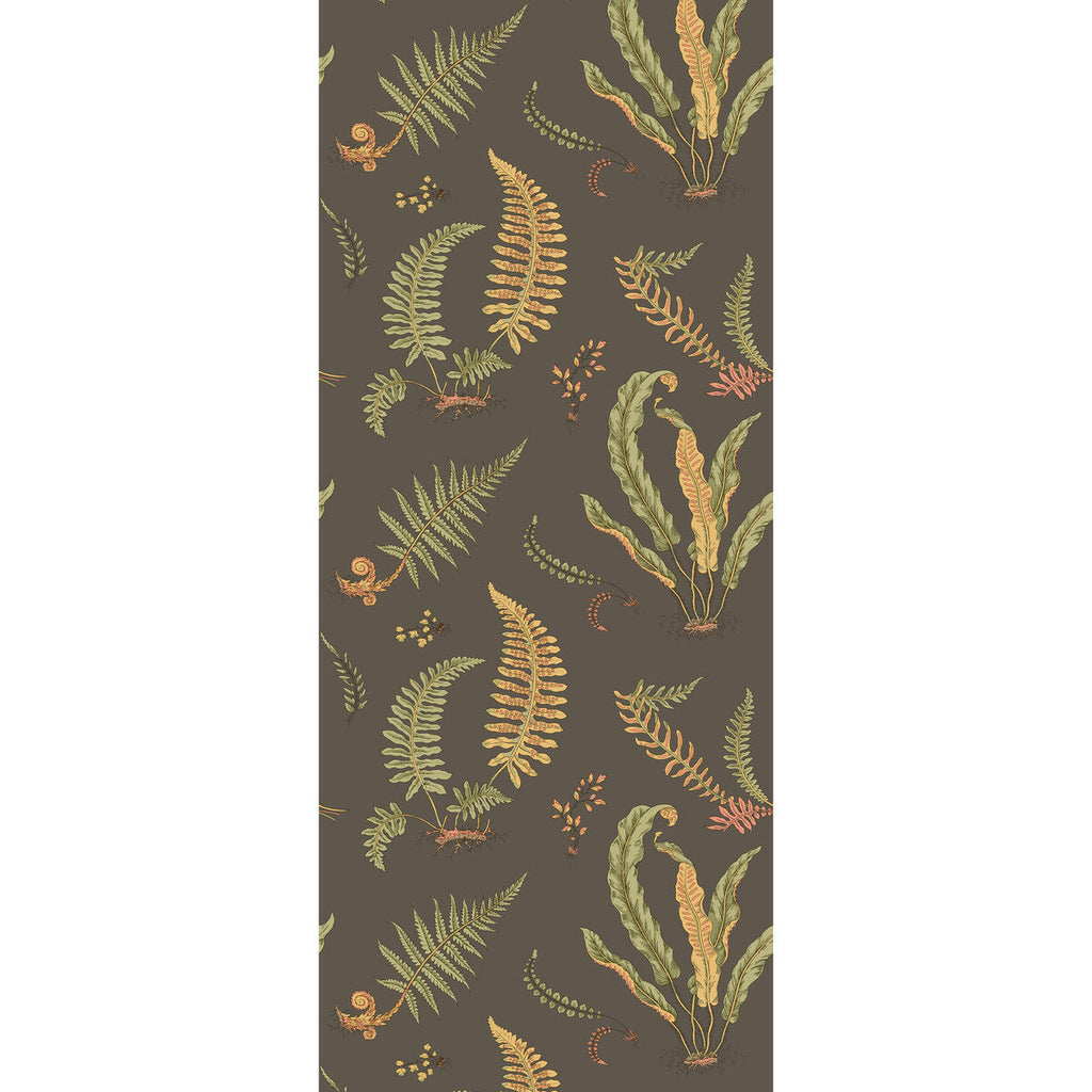 Samples and Purchasing available for Ferns - Charcoal Black By G P & J Baker | Originals Wallpaper |Botanical & Floral  Wallcovering  at Designer Wallcoverings and Fabrics