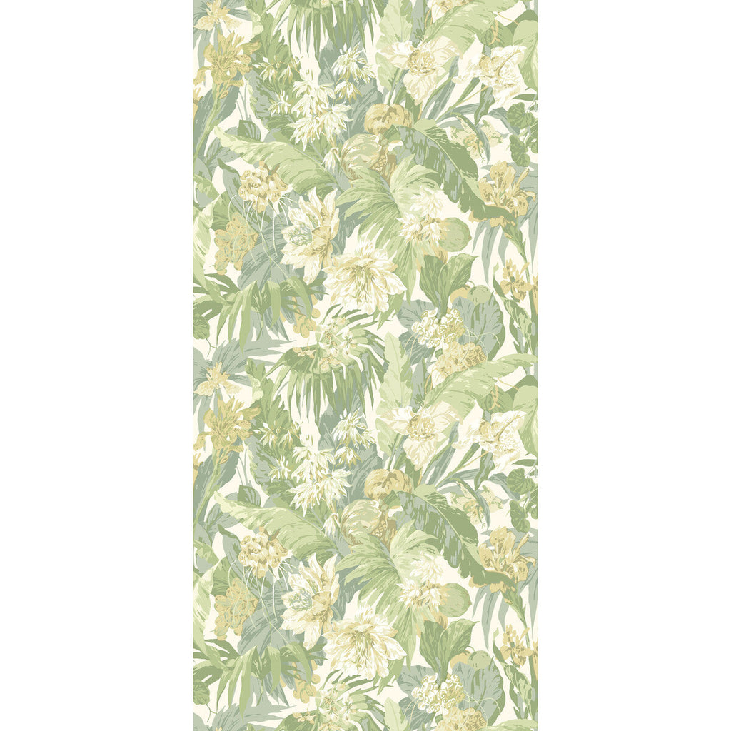 Samples and Purchasing available for Tropical Floral - Soft Green Green By G P & J Baker | Originals Wallpaper |Botanical & Floral  Wallcovering  at Designer Wallcoverings and Fabrics