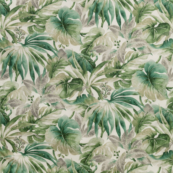 Samples and Purchasing available for Kravet Basics - Carles-3 White By Kravet Basics |  |Botanical & Floral Tropical Multipurpose Print at Designer Wallcoverings and Fabrics