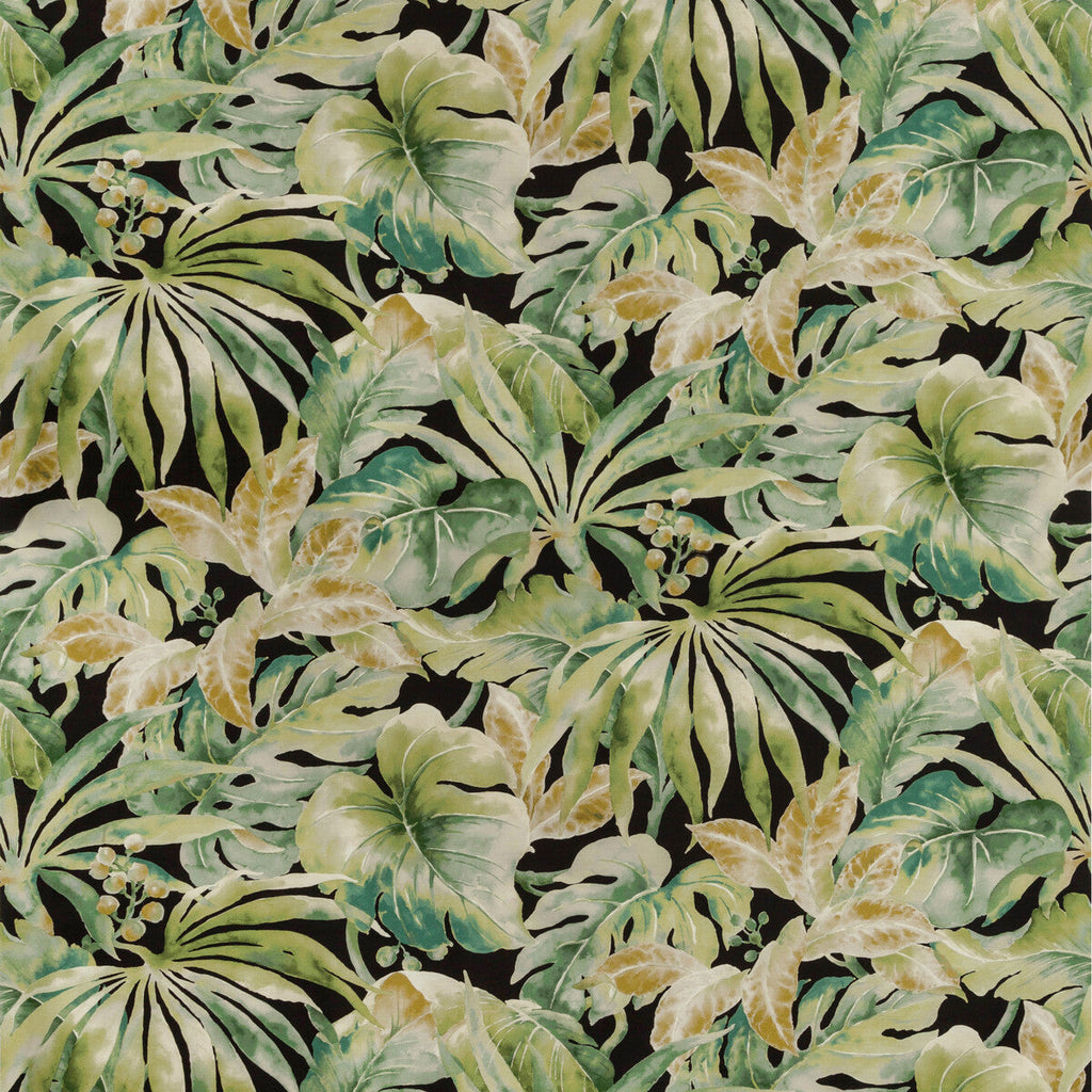 Samples and Purchasing available for Kravet Basics - Carles-830 Black By Kravet Basics |  |Botanical & Floral Tropical Multipurpose Print at Designer Wallcoverings and Fabrics