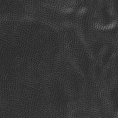 Samples and Purchasing available for Kravet Design - Delaney-8 Black By Kravet Design | Faux Leather Iv |Texture Animal Skins Upholstery Vinyl/Faux Leather at Designer Wallcoverings and Fabrics