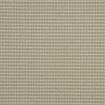 Samples and Purchasing available for Avani - Silver Birch Beige By Threads | Threads Spring |Solid Texture Multipurpose Weave at Designer Wallcoverings and Fabrics