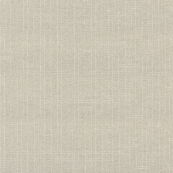 Samples and Purchasing available for Bulsa - Parchment Beige By Threads | Quintessential Naturals |Texture  Drapery Weave at Designer Wallcoverings and Fabrics