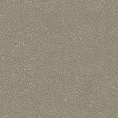 Samples and Purchasing available for Edgy Shark - Nickel Grey By Kravet Couture |  |Texture Animal Skins Upholstery Vinyl/Faux Leather at Designer Wallcoverings and Fabrics