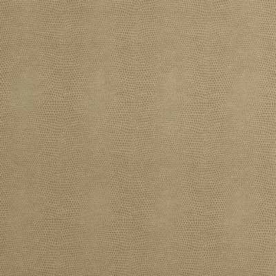 Samples and Purchasing available for Epitome - Putty Beige By Kravet Couture |  |Texture Animal Skins Upholstery Vinyl/Faux Leather at Designer Wallcoverings and Fabrics