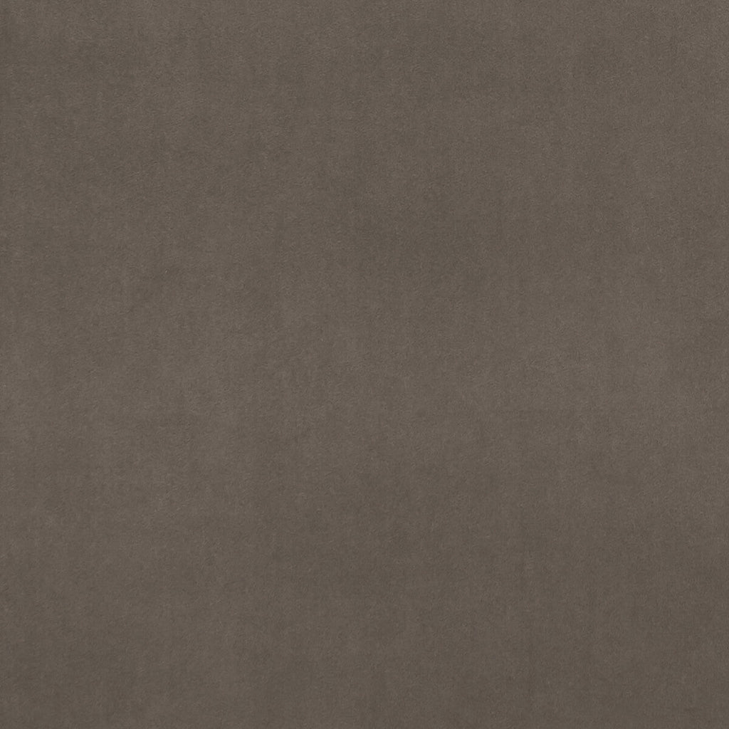 Samples and Purchasing available for Alvar - Mocha  By Clarke And Clarke | Clarke & Clarke Alvar |Solid Texture Multipurpose Velvet at Designer Wallcoverings and Fabrics