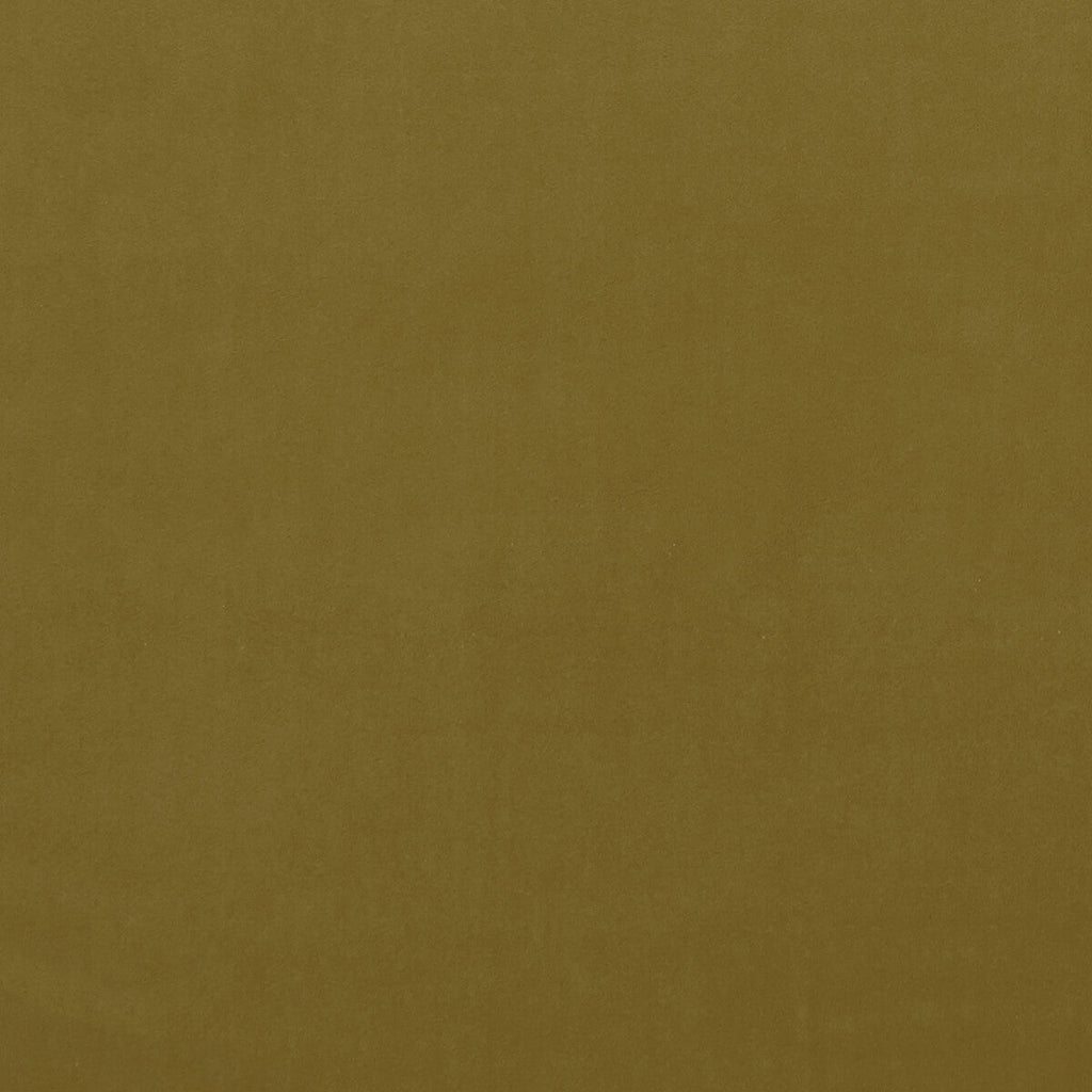 Samples and Purchasing available for Alvar - Gold  By Clarke And Clarke | Clarke & Clarke Alvar |Solid Texture Multipurpose Velvet at Designer Wallcoverings and Fabrics