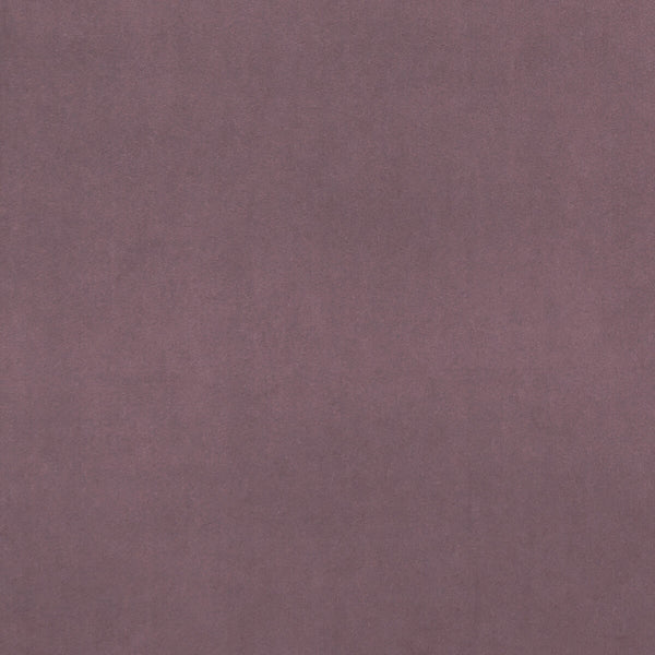 Samples and Purchasing available for Alvar - Lavender  By Clarke And Clarke | Clarke & Clarke Alvar |Solid Texture Multipurpose Velvet at Designer Wallcoverings and Fabrics