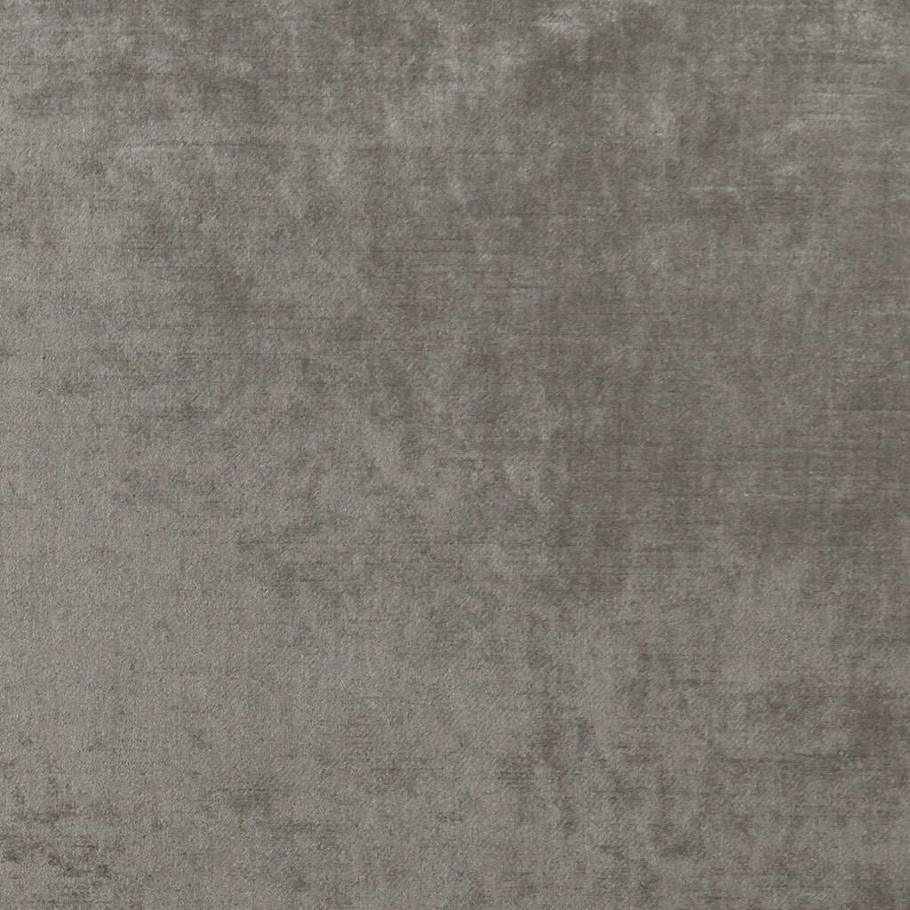 Samples and Purchasing available for Allure - Ash  By Clarke And Clarke | Clarke & Clarke Allure |Solid Texture Multipurpose Velvet at Designer Wallcoverings and Fabrics