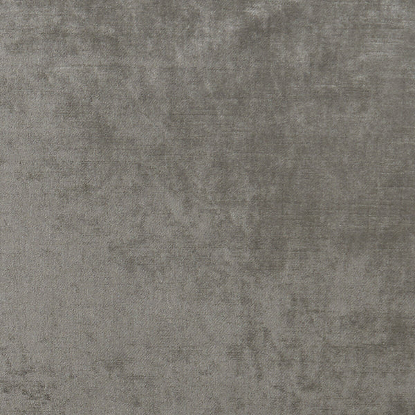 Samples and Purchasing available for Allure - Ash  By Clarke And Clarke | Clarke & Clarke Allure |Solid Texture Multipurpose Velvet at Designer Wallcoverings and Fabrics