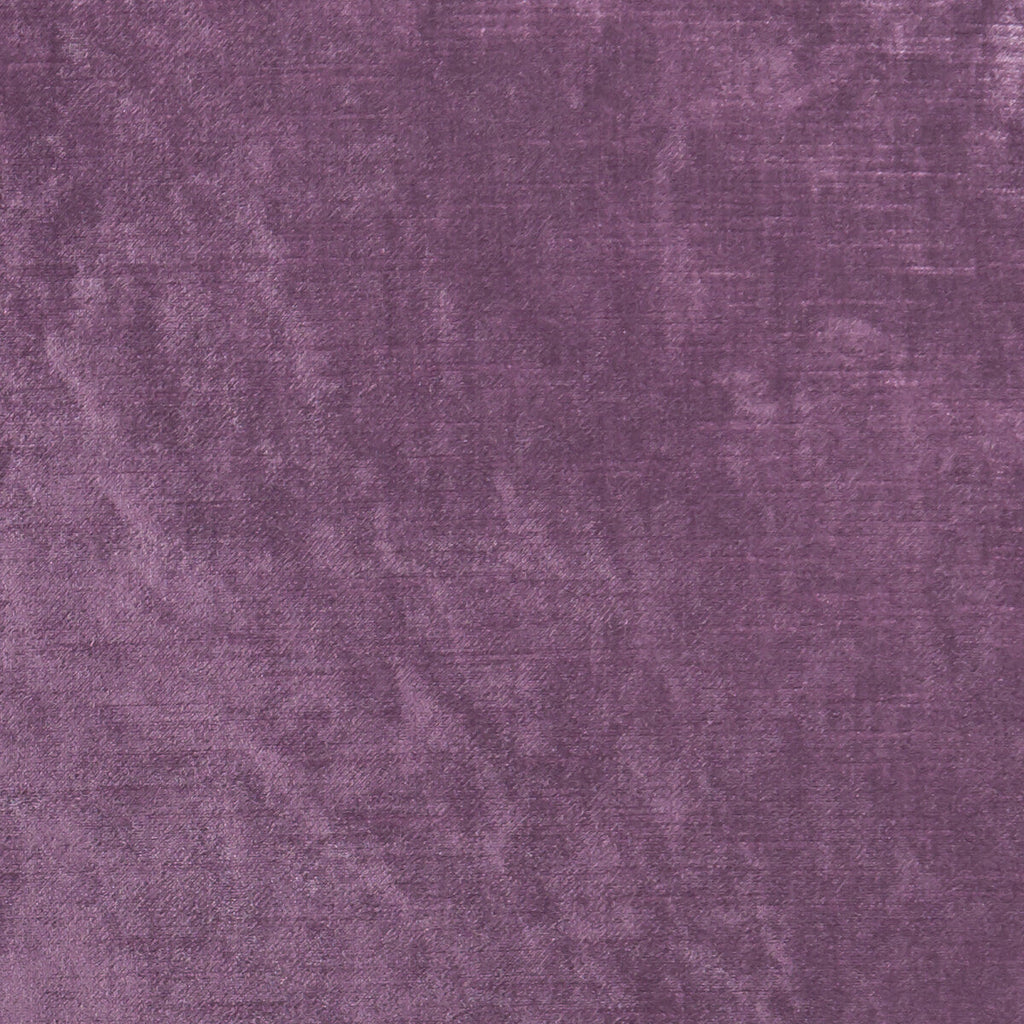 Samples and Purchasing available for Allure - Berry  By Clarke And Clarke | Clarke & Clarke Allure |Solid Texture Multipurpose Velvet at Designer Wallcoverings and Fabrics