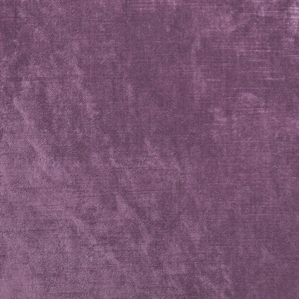 Samples and Purchasing available for Allure - Berry  By Clarke And Clarke | Clarke & Clarke Allure |Solid Texture Multipurpose Velvet at Designer Wallcoverings and Fabrics