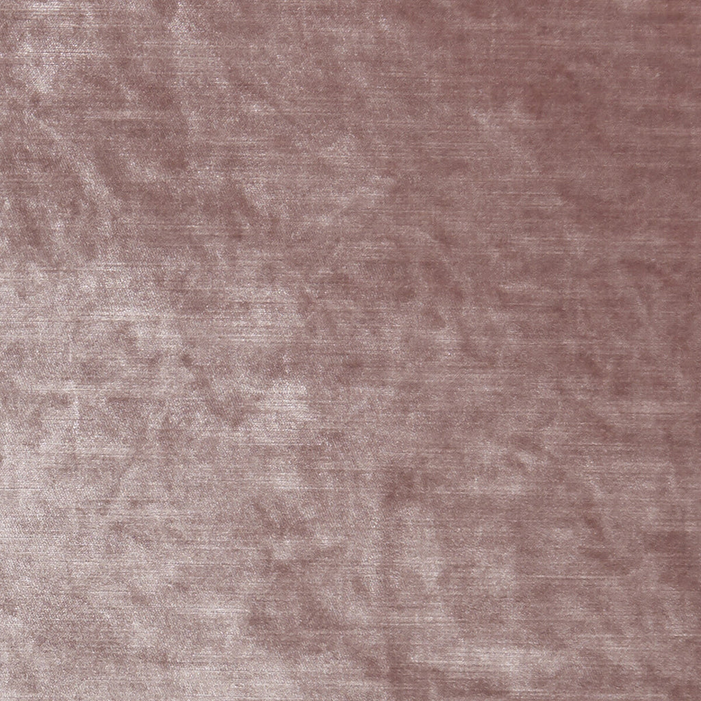 Samples and Purchasing available for Allure - Blush  By Clarke And Clarke | Clarke & Clarke Allure |Solid Texture Multipurpose Velvet at Designer Wallcoverings and Fabrics