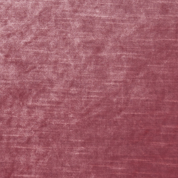 Samples and Purchasing available for Allure - Candy  By Clarke And Clarke | Clarke & Clarke Allure |Solid Texture Multipurpose Velvet at Designer Wallcoverings and Fabrics