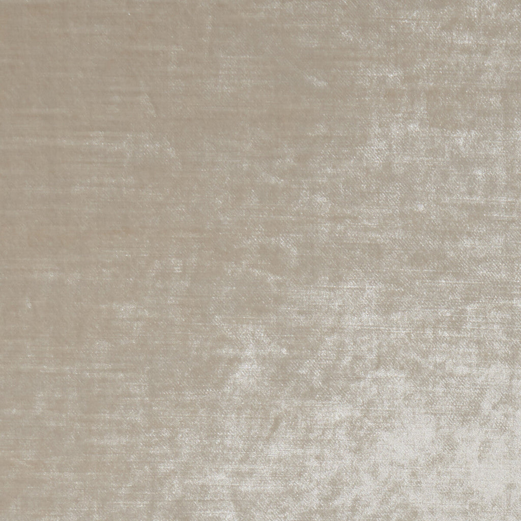 Samples and Purchasing available for Allure - Cream  By Clarke And Clarke | Clarke & Clarke Allure |Solid Texture Multipurpose Velvet at Designer Wallcoverings and Fabrics