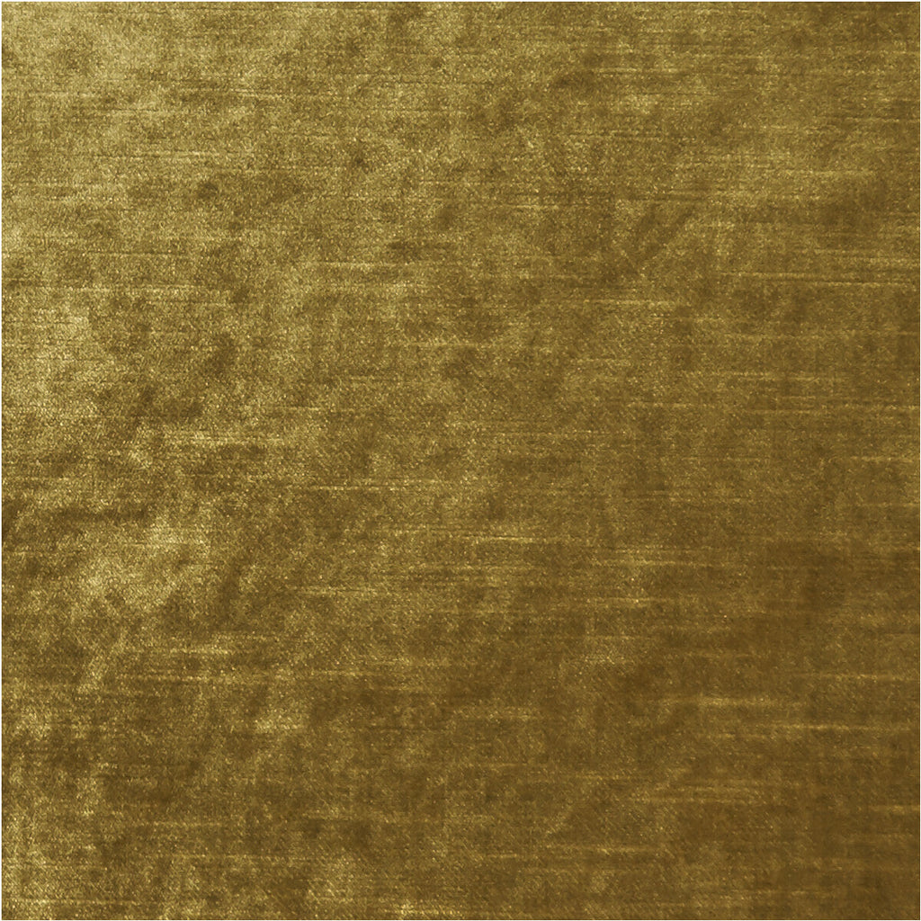 Samples and Purchasing available for Allure - Gold  By Clarke And Clarke | Clarke & Clarke Allure |Solid Texture Multipurpose Velvet at Designer Wallcoverings and Fabrics