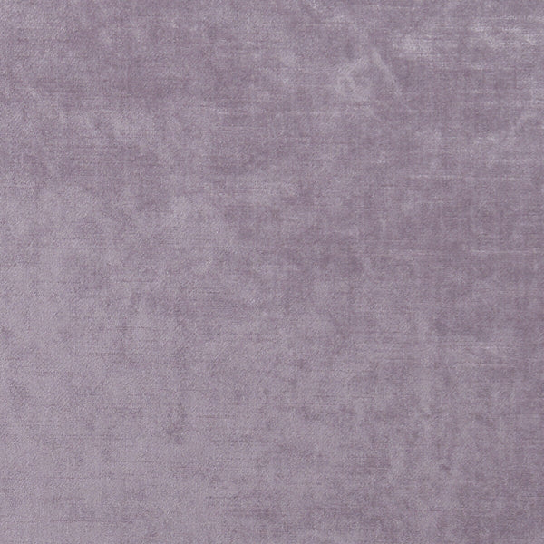 Samples and Purchasing available for Allure - Heather  By Clarke And Clarke | Clarke & Clarke Allure |Solid Texture Multipurpose Velvet at Designer Wallcoverings and Fabrics